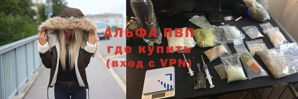 дживик Арсеньев