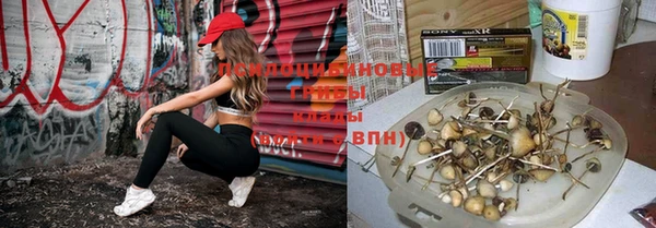 дживик Арсеньев