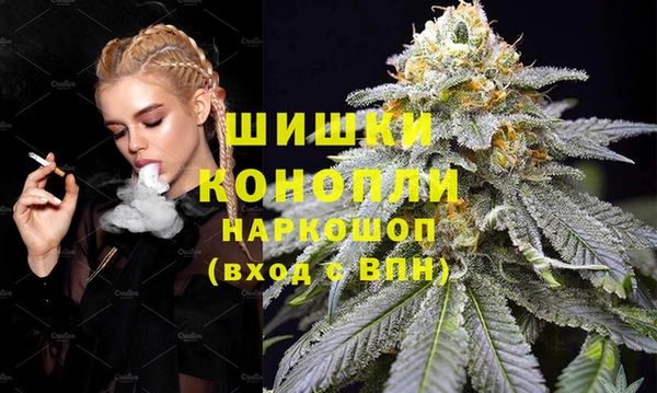 дживик Арсеньев