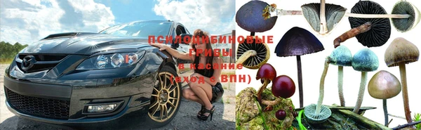 spice Армянск